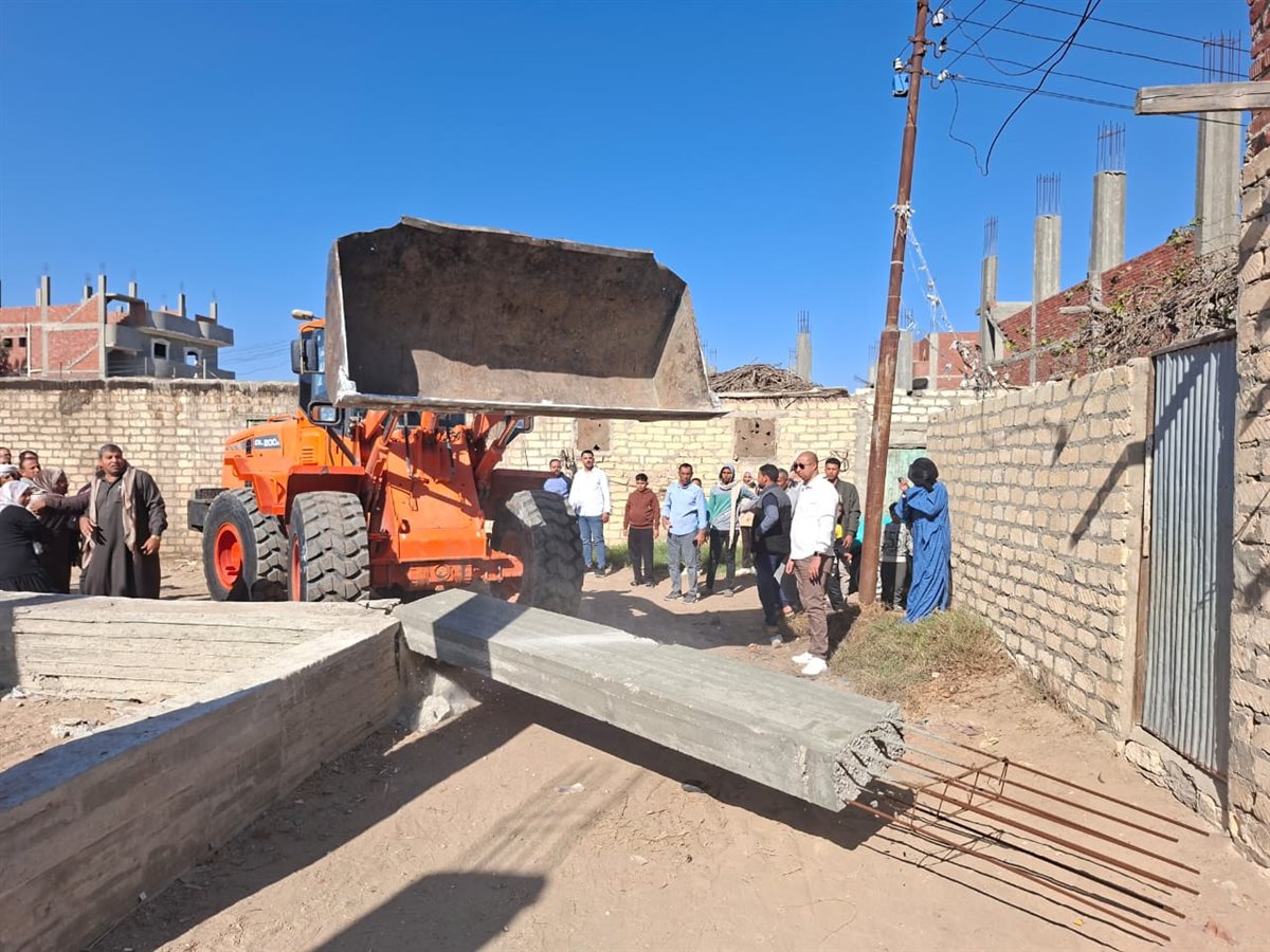 جانب من أعمال الحملة، فيتو