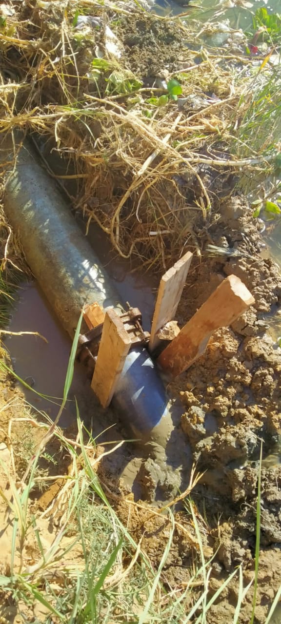 جانب من أعمال الإصلاح، فيتو