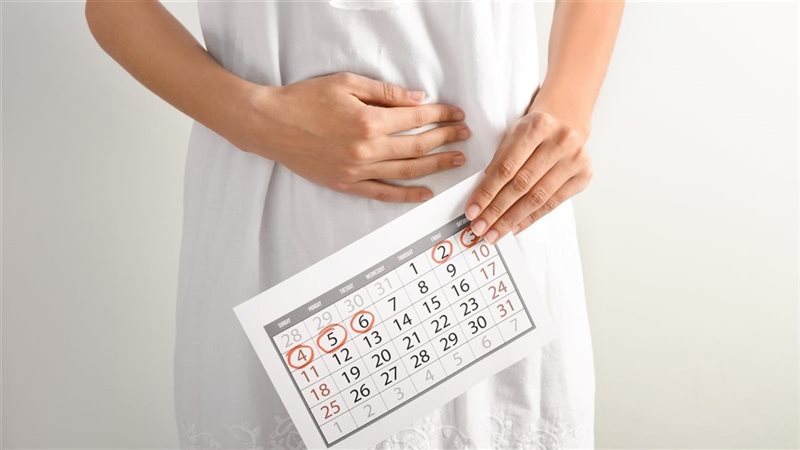 الدورة الشهرية