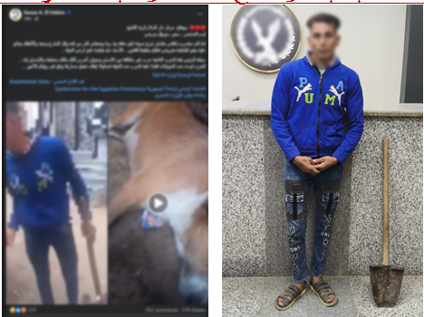 ضبط مزارع لتعديه على كلب باستخدام “كوريك” فى سوهاج