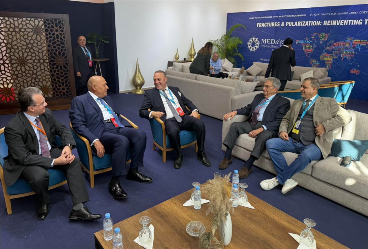 كواليس لقاء عمرو موسى وسامح شكري مع السفير الفلسطيني حسام زملط، فيتو