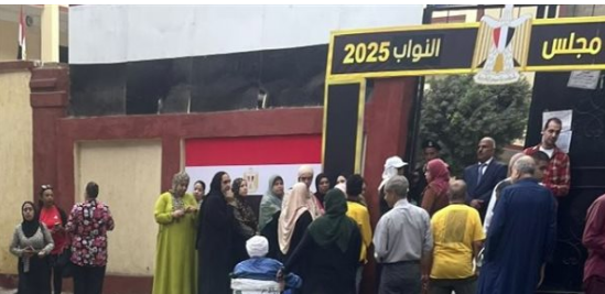 إلعاء انتخابات بعض الدوائر بالانتخابات البرلمانية، فيتو