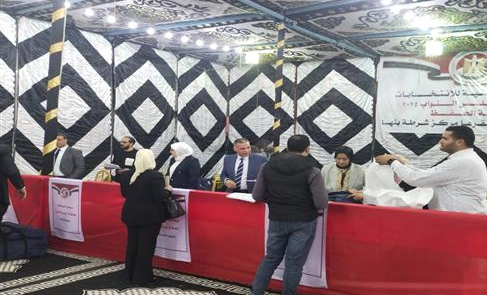 سير العملية الانتخابية، فيتو