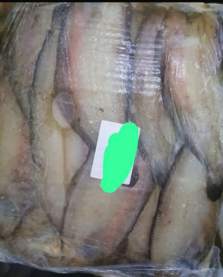 حملة من الطب البيطري تضبط كميات ضخمة من المنتجات البحرية 