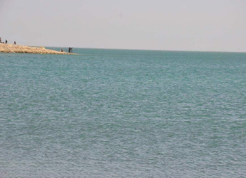 سر فتح مفيض توشكى، فيتو