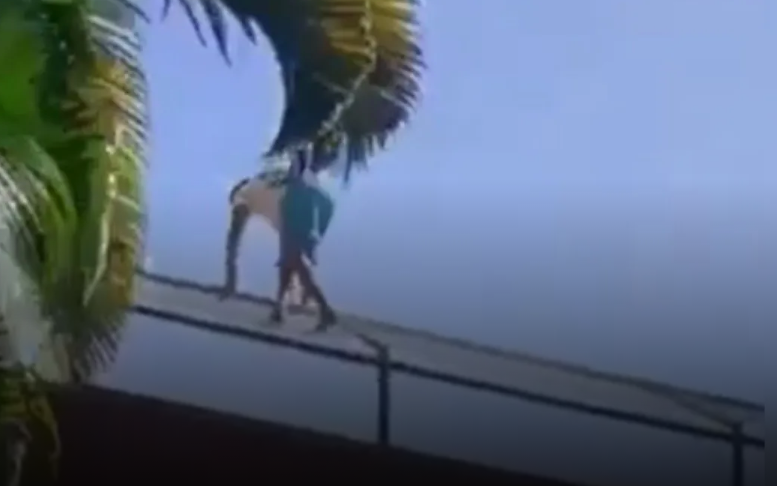 الشاب جيرسون لحظة اقتحامه مكان الأسود، فيتو