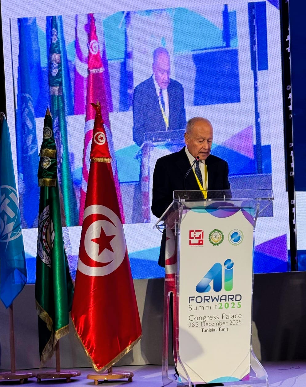 أحمد أبو الغيط، الأمين العام لجامعة الدول العربية، فيتو