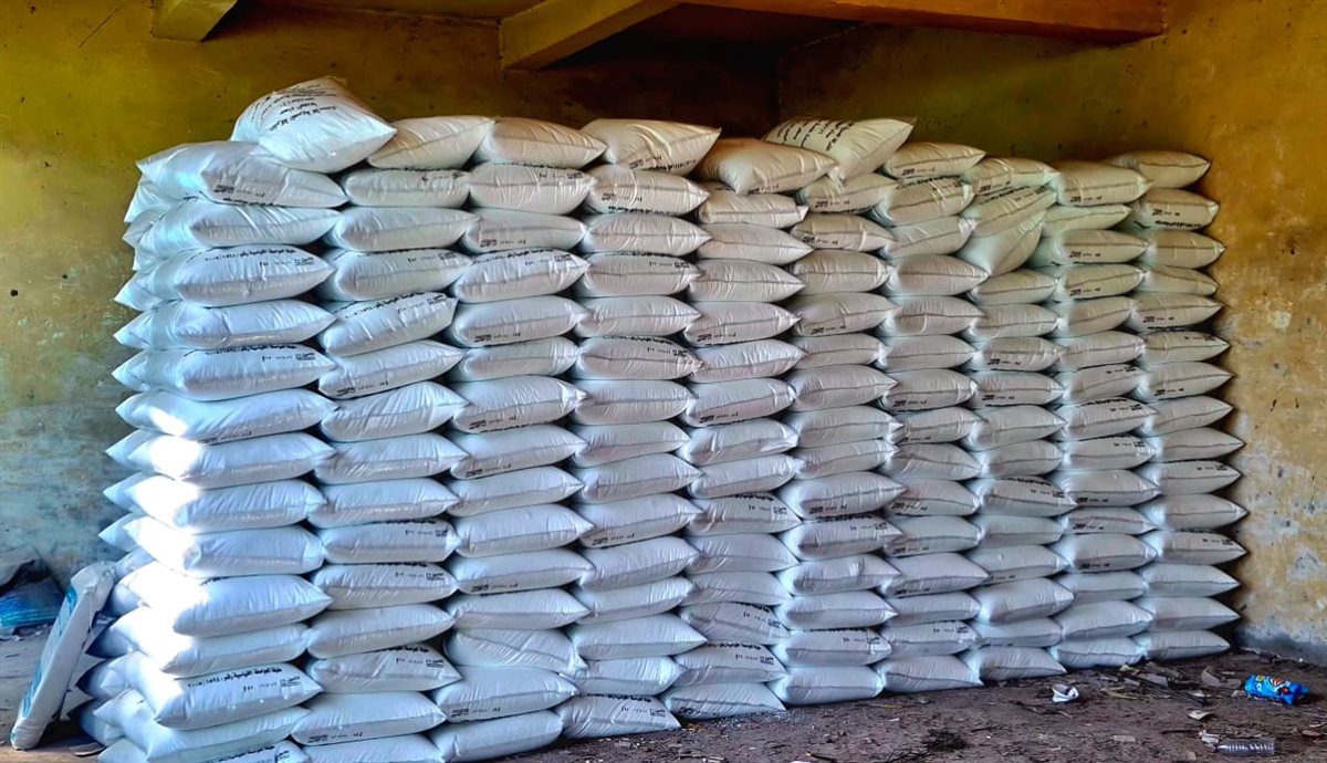 جانب من الجولة، فيتو