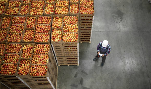 التحايل في حجم تصدير الحاصلات الزراعية، فيتو