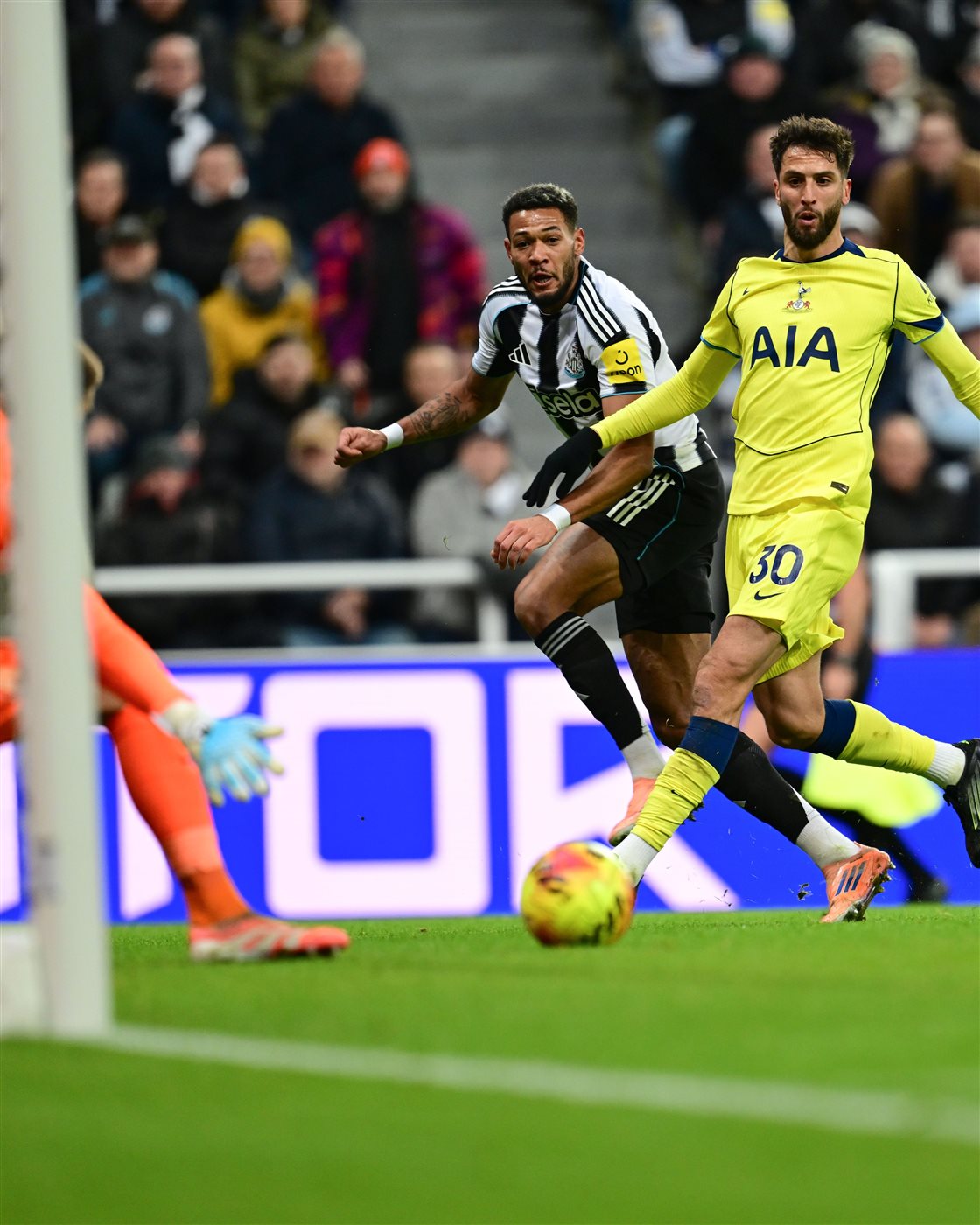 تيوكاسل ضد توتنهام، فيتو