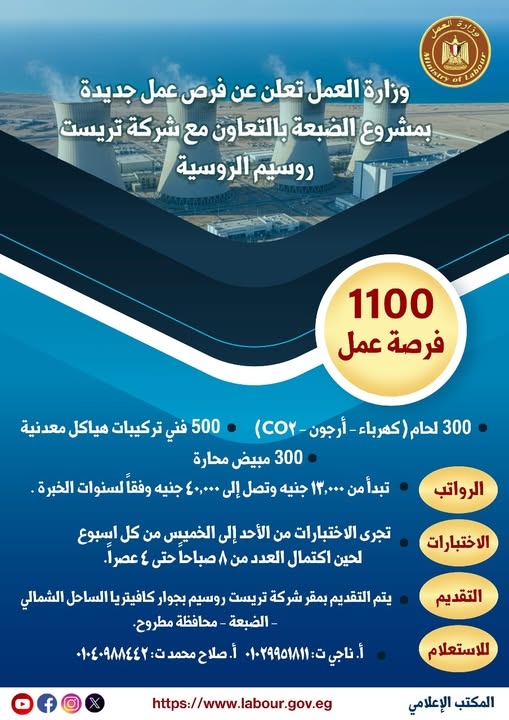 وزارة العمل , فيتو&nbsp;