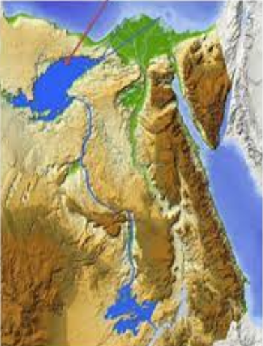 منخفض القطارة، فيتو