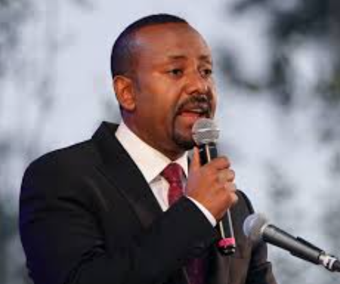 هجوم إثيوبيا على مصر، فيتو