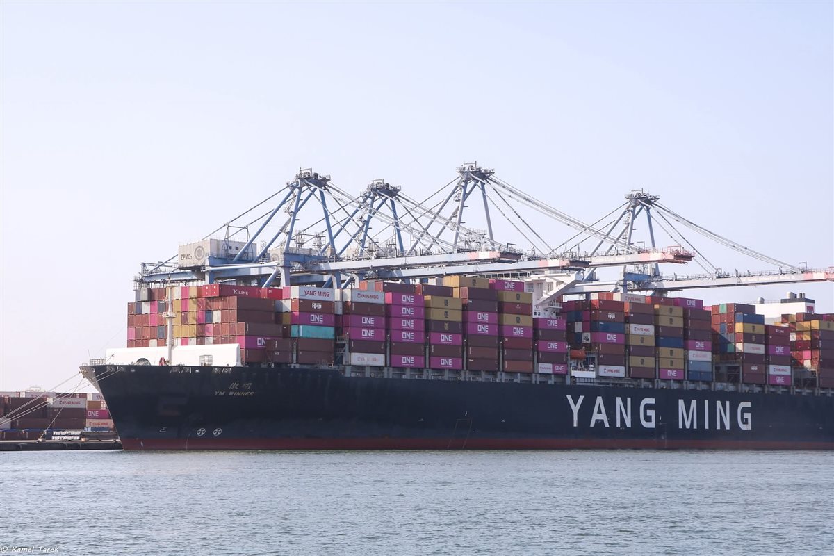 ميناء دمياط... فيتو 