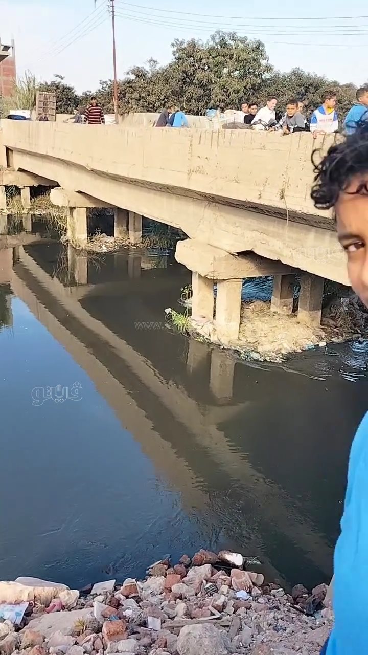 استنفار في بلبيس: فرق غوص تتدخل بعد تصاعد مخاوف ظهور تماسيح بالمصارف،فيتو