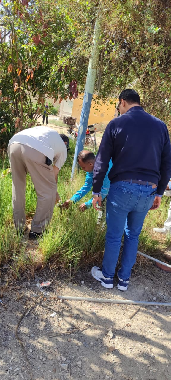 جانب من عمل الفرق، فيتو