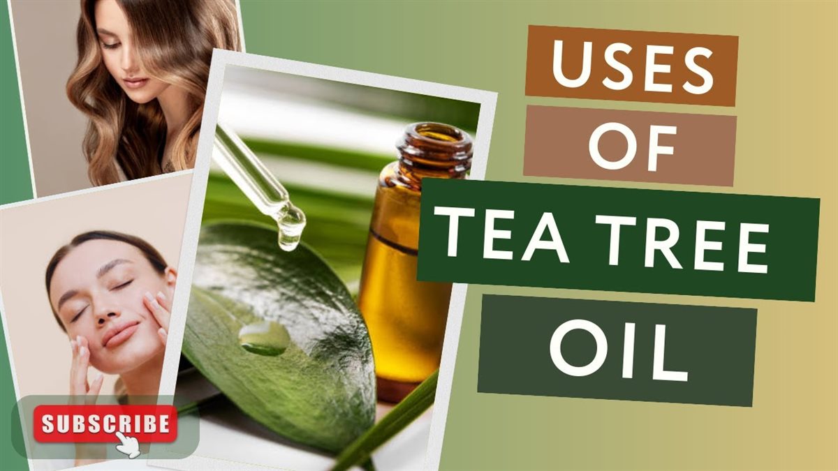 فوائد زيت شجرة الشاي
