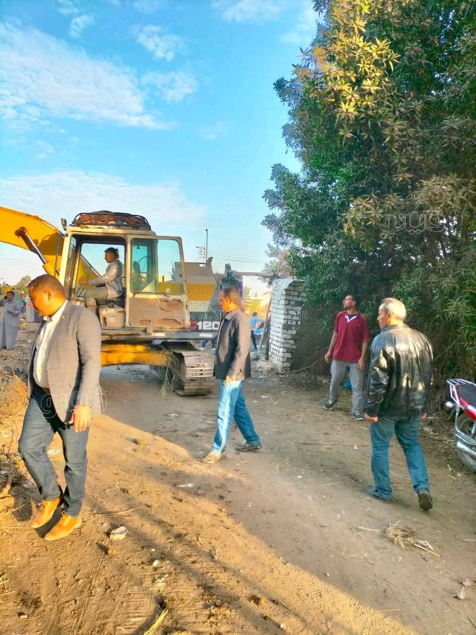 الزوامل على صفيح ساخن.. محميات أسوان تتجه لاصطياد التماسيح خلال ساعات،فيتو