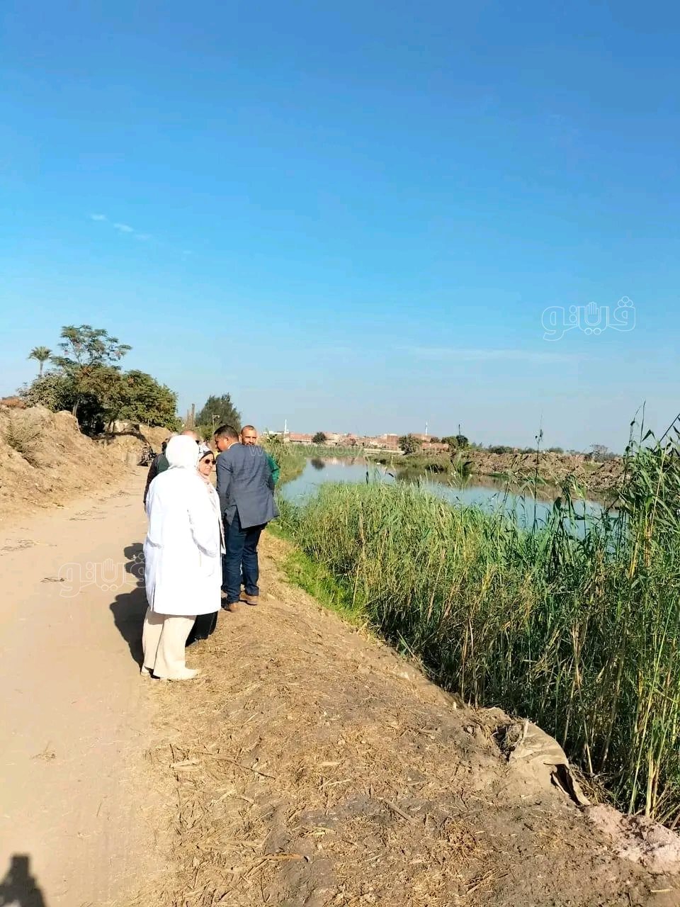 الزوامل على صفيح ساخن.. محميات أسوان تتجه لاصطياد التماسيح خلال ساعات،فيتو