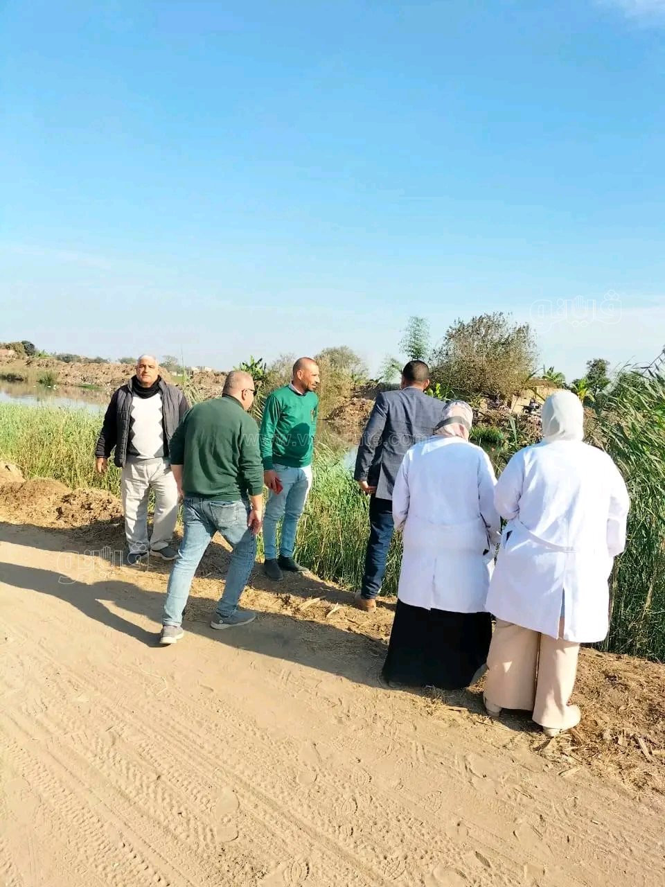 الزوامل على صفيح ساخن.. محميات أسوان تتجه لاصطياد التماسيح خلال ساعات،فيتو