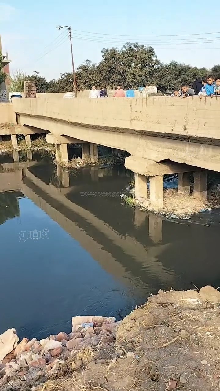 الزوامل على صفيح ساخن.. محميات أسوان تتجه لاصطياد التماسيح خلال ساعات،فيتو