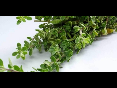 فوائد البردقوش للمرأة