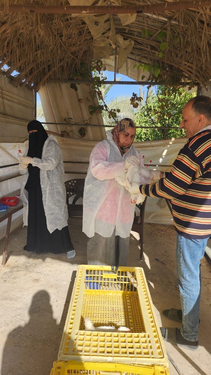 جانب من جهود مديرية الطب البيطري بالإسماعيلية، فيتو