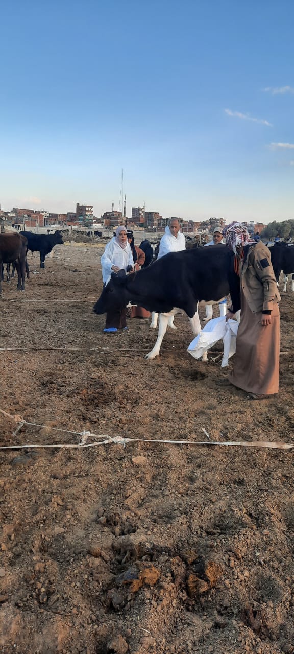 جانب من حملات التحصين،فيتو