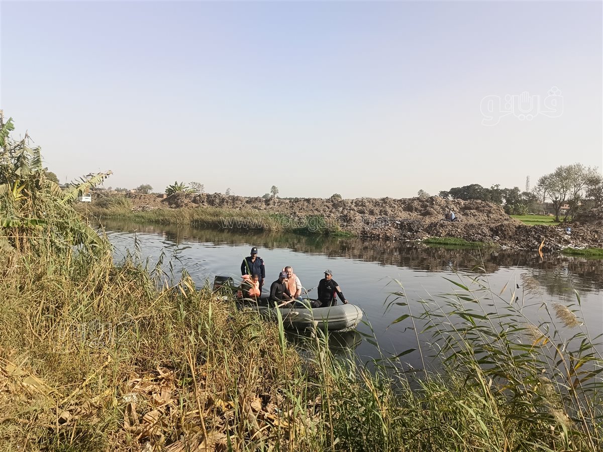 الشرقية تواصل الاستنفار.. حملات تمشيط متواصلة لتعقب التماسيح الهاربة بالزوامل،فيتو