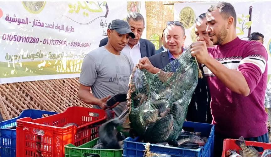 أسماك مشروعات الاستزراع السمكي في أسواق الوادي الجديد