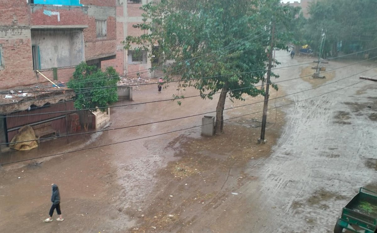 سقوط امطار غزيرة بالقليوبية، فيتو