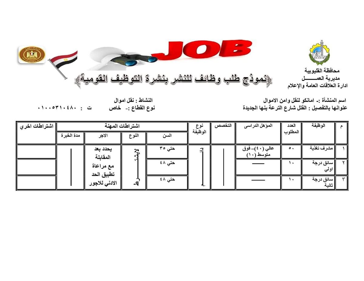 وظائف وفرص عمل بالقليوبية، فيتو