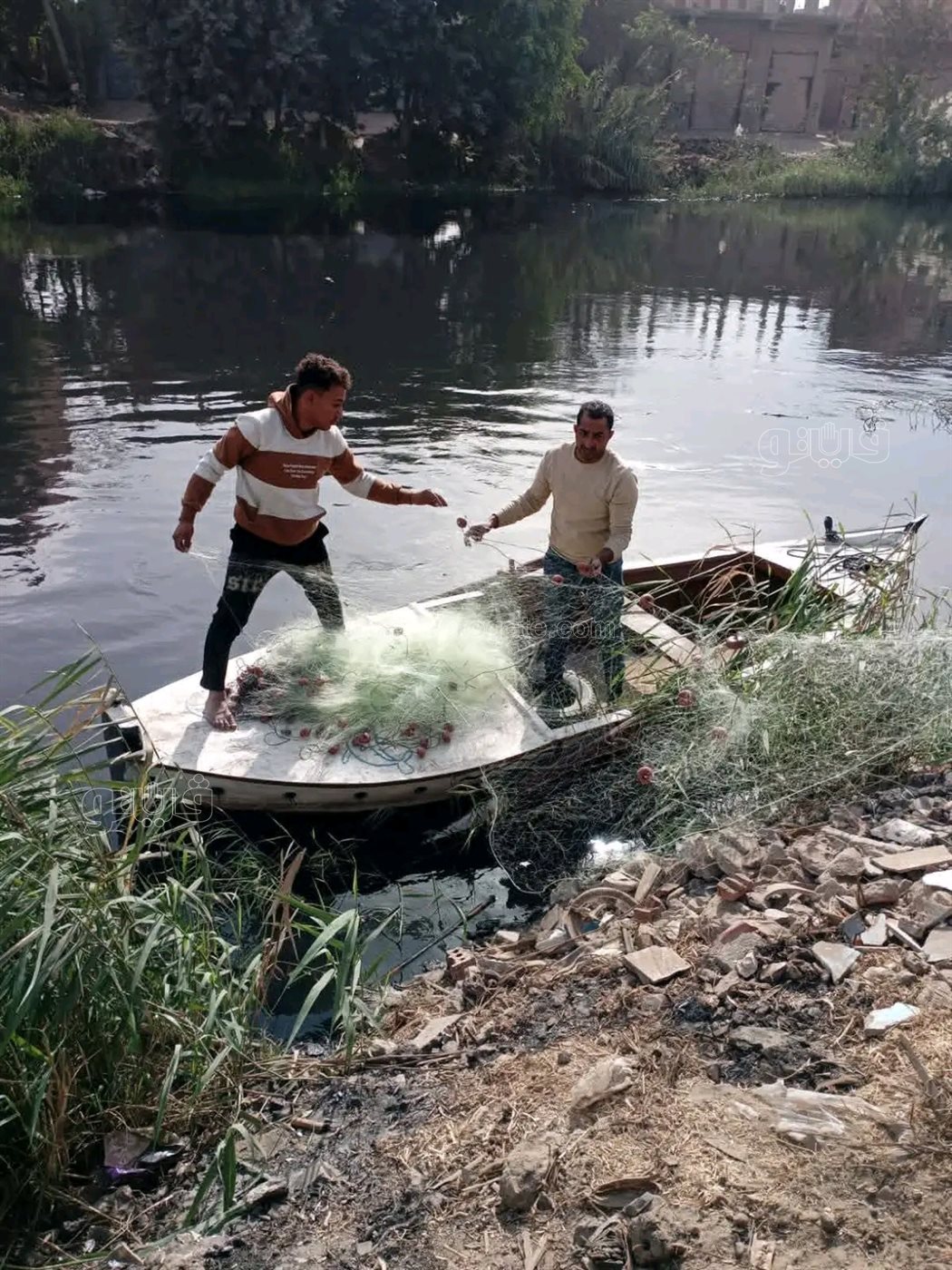 مطاردة التمساح في الزوامل.. خطة غائبة وحالة هلع تتصاعد،فيتو