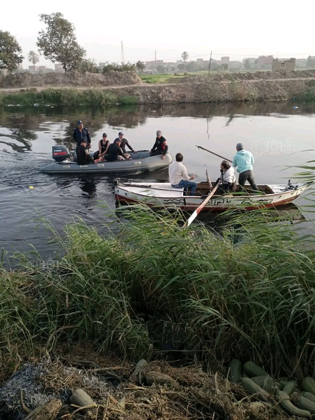 مطاردة التمساح في الزوامل.. خطة غائبة وحالة هلع تتصاعد،فيتو