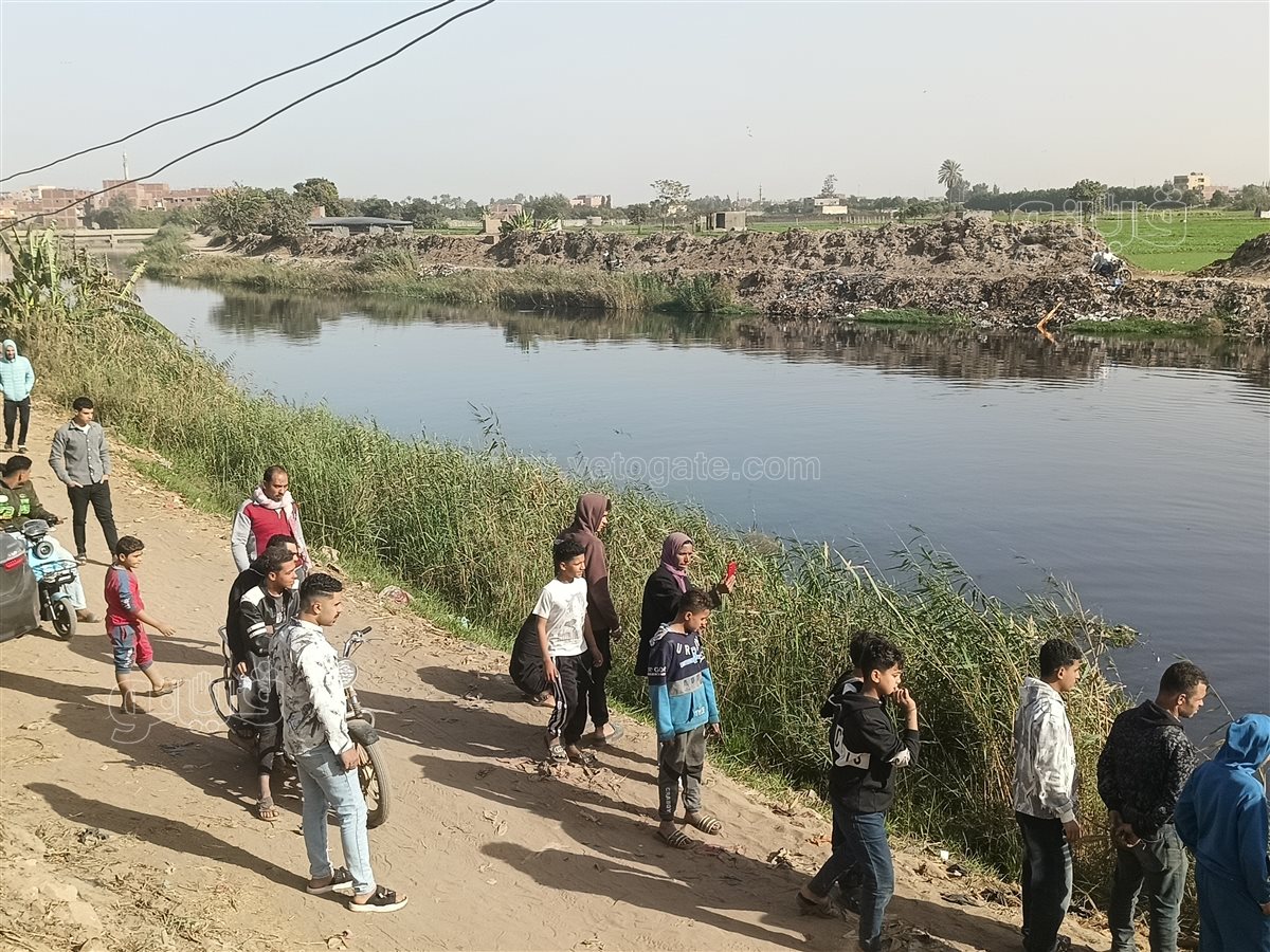 رحلة البحث عن تماسيح الزوامل،فيتو