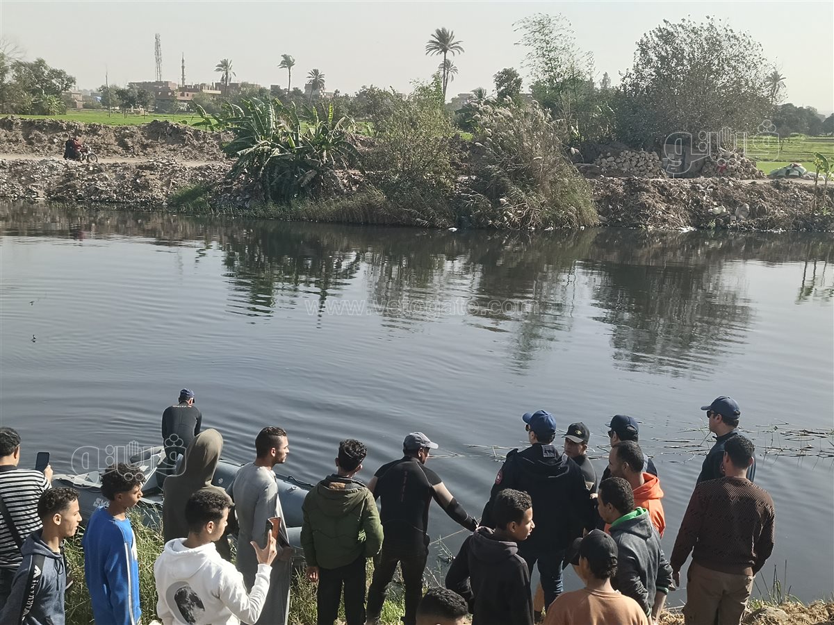 رحلة البحث عن تماسيح الزوامل،فيتو