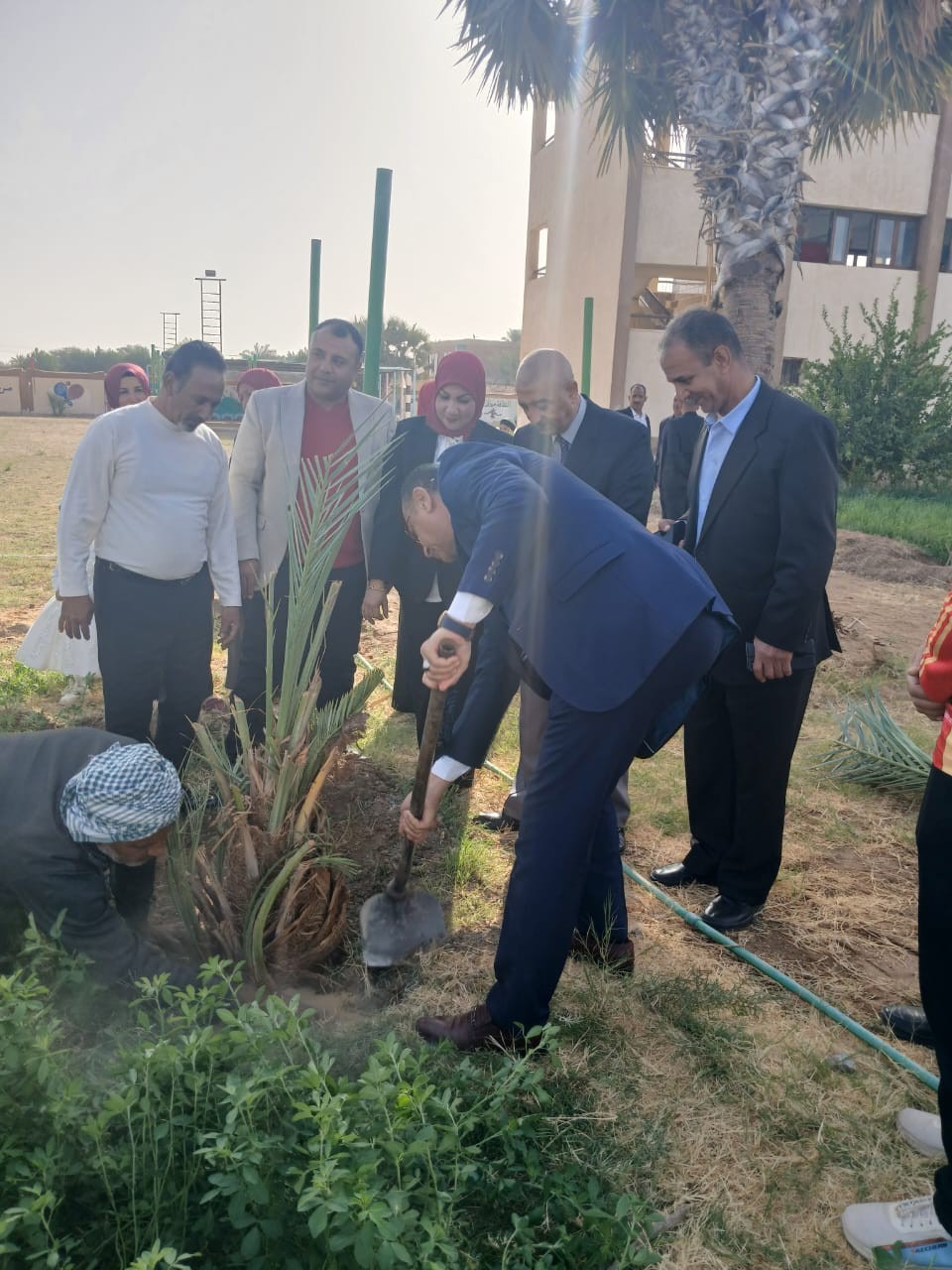 تدشين مبادرة “ازرع نخلة” بمدارس الوادي الجديد