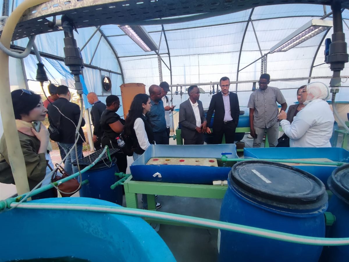 معهد علوم البحار يستقبل وفدًا دوليًا لتعزيز التعاون