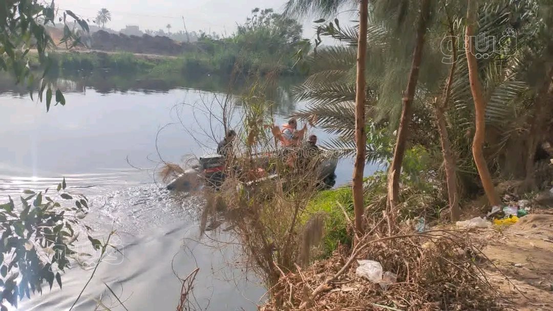 استنفار في الشرقية.. فرق الإنقاذ تواصل ملاحقة تمساح الزوامل،فيتو