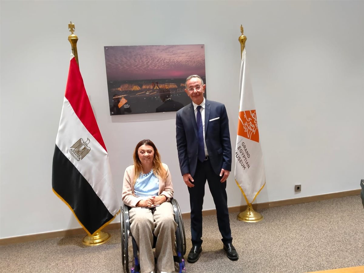 المجلس القومي للأشخاص ذوي الإعاقة، فيتو