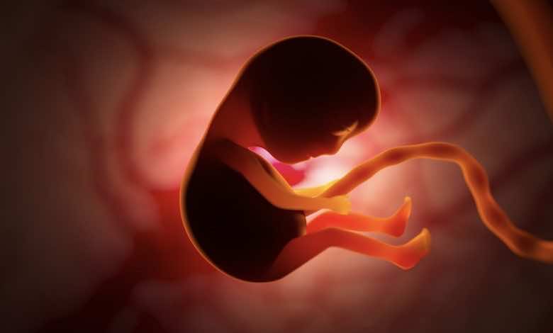 علاقة الغدة الدرقية بالاجهاض المتكرر وتأخر الحمل 