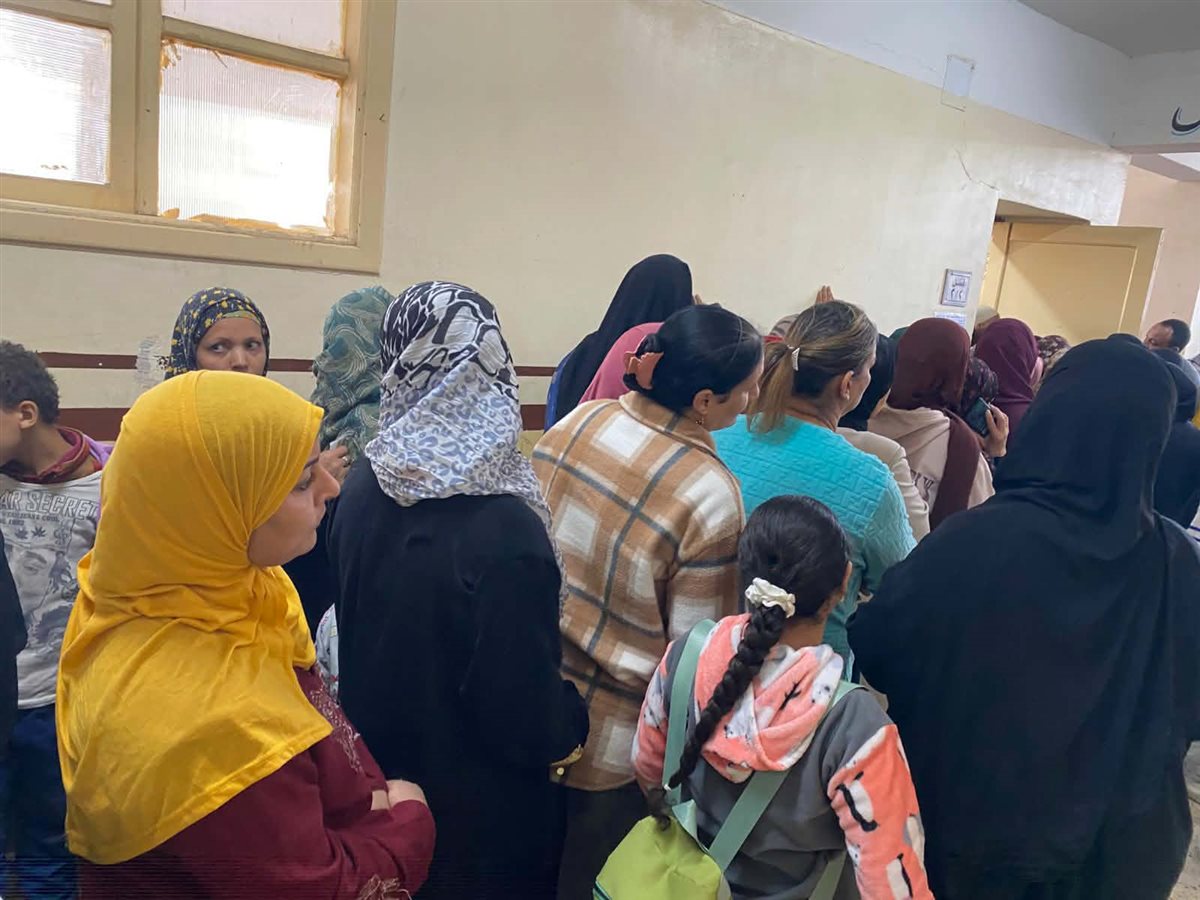 إنتخابات مجلس النواب 2025 في المنيا، فيتو 