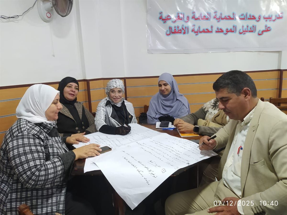 القومى للامومة والطفولة ينفذ البرنامج التدريبى - فيتو