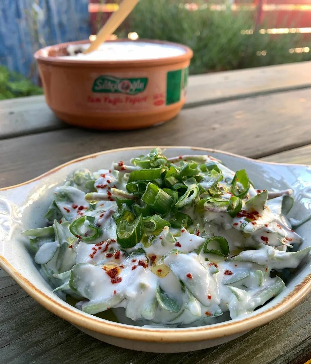 صينية كوسة بالزبادي