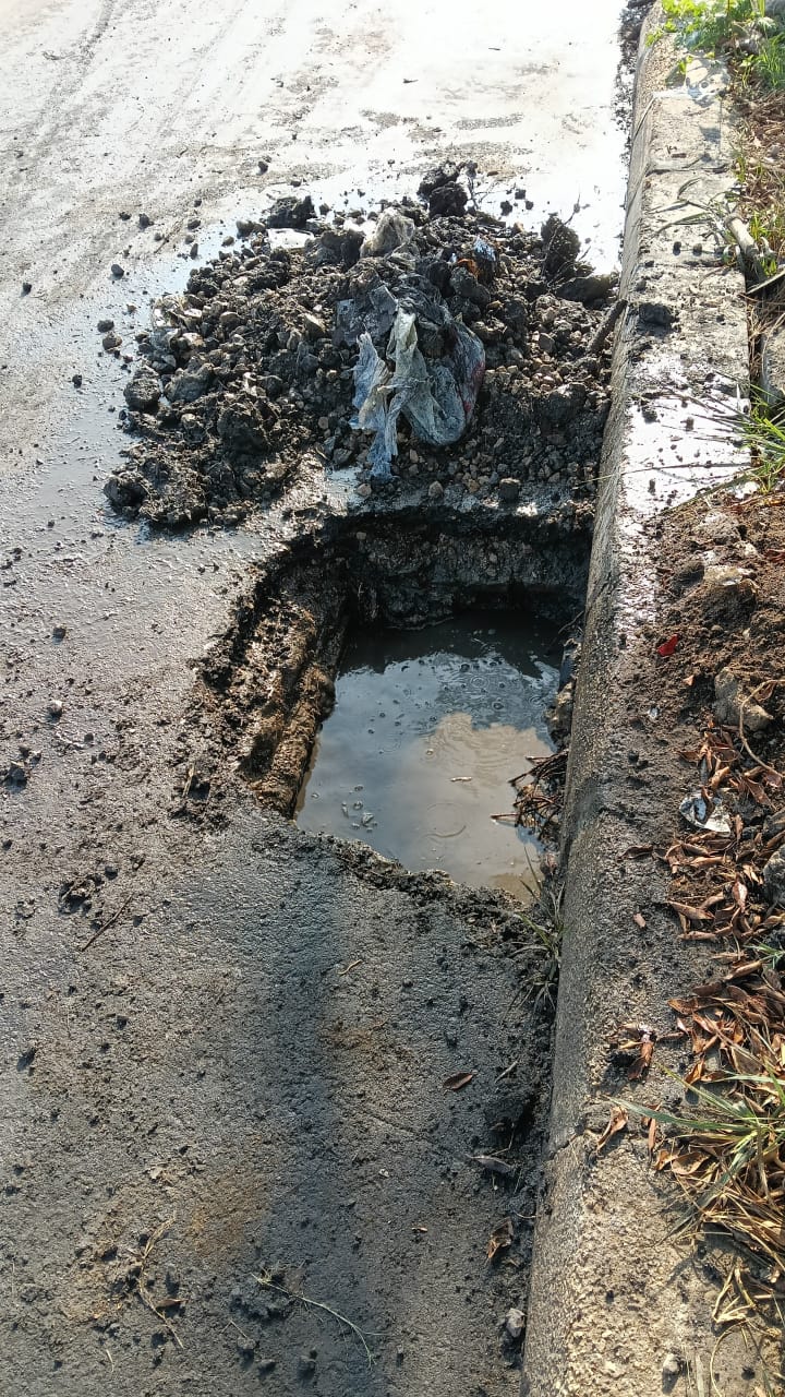 جانب من أعمال التطهير، فيتو