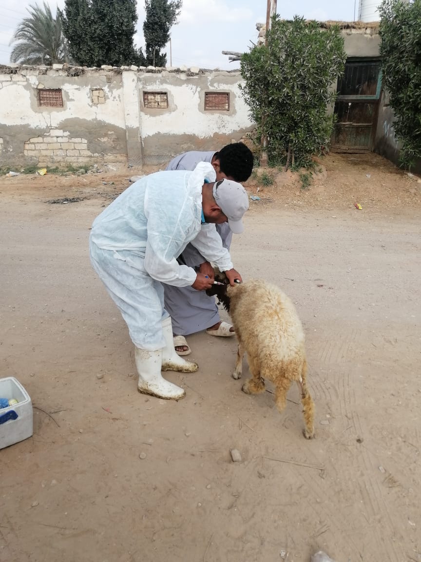 جانب من الحملات، فيتو