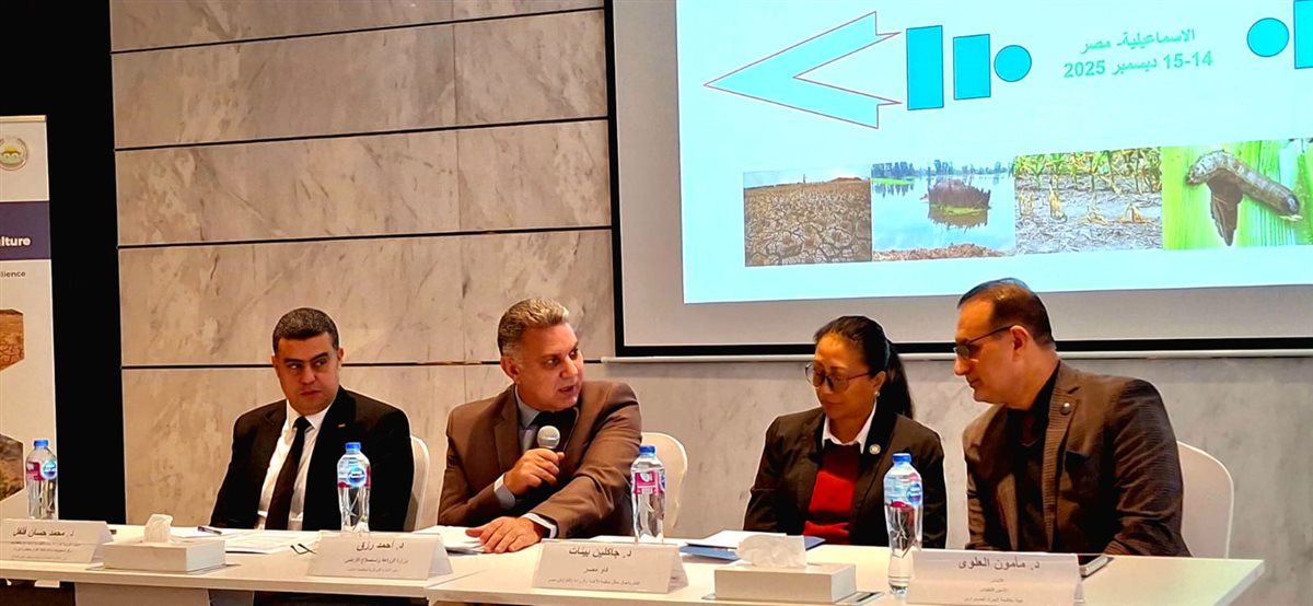 جانب من فاعليات الورشة، فيتو