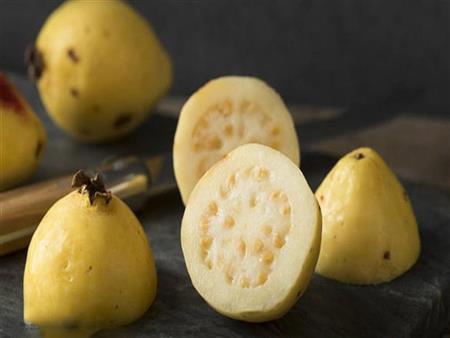 فوائد الجوافة