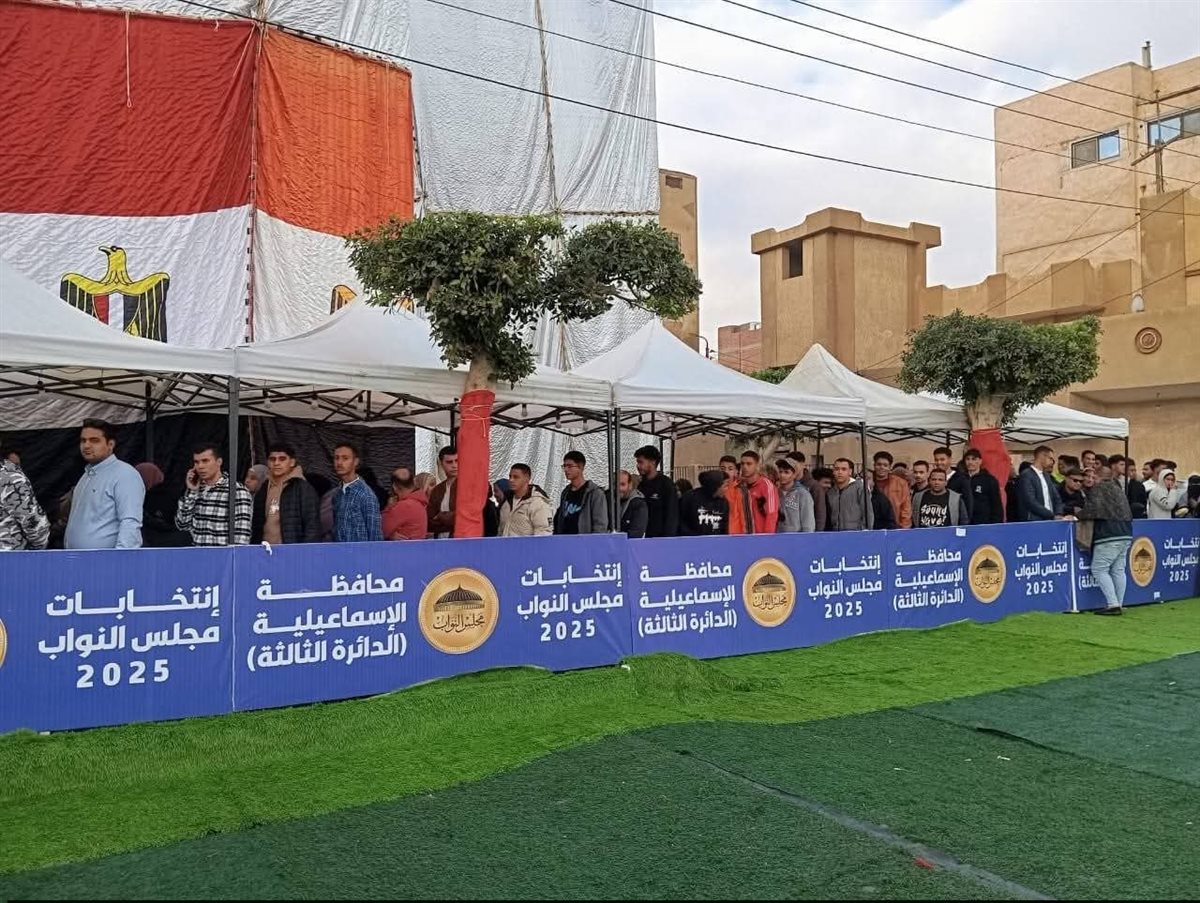 جانب من عملية التصويت، فيتو