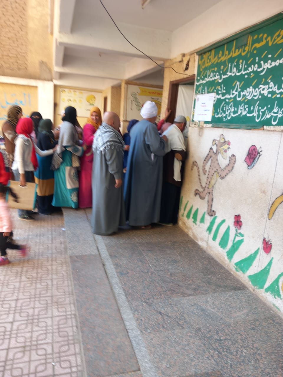 اقبال من السيدات علي اللجان الانتخابية بالقليوبية، فيتو